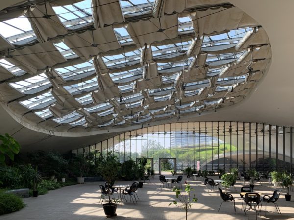 伊東豊雄氏設計、曲面シェル構造の【ぐりんぐりん】を徹底レポート！！福岡県福岡市