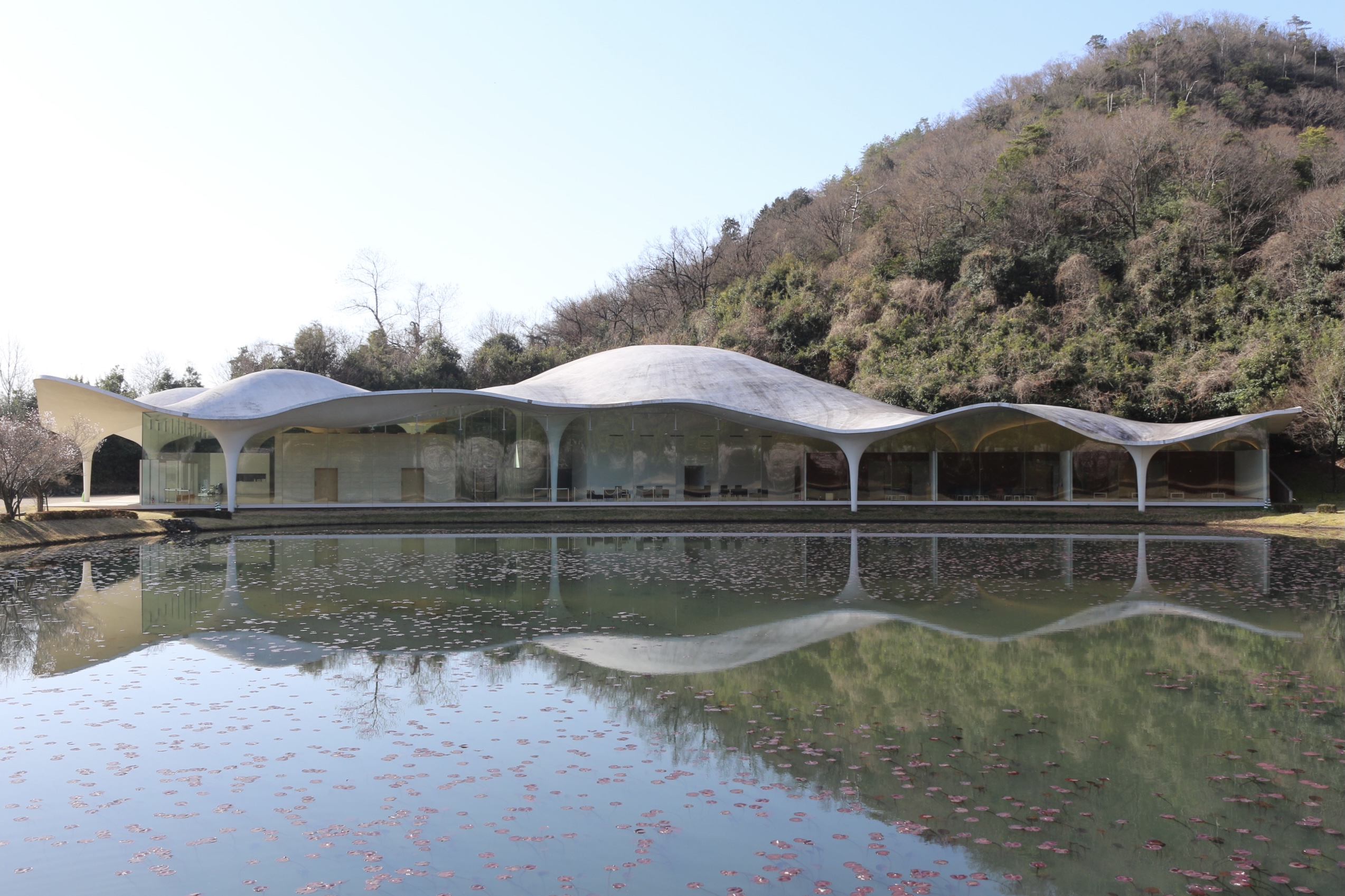 伊東豊雄氏設計、美しい曲面屋根の市営斎場【瞑想の森】をご紹介します。