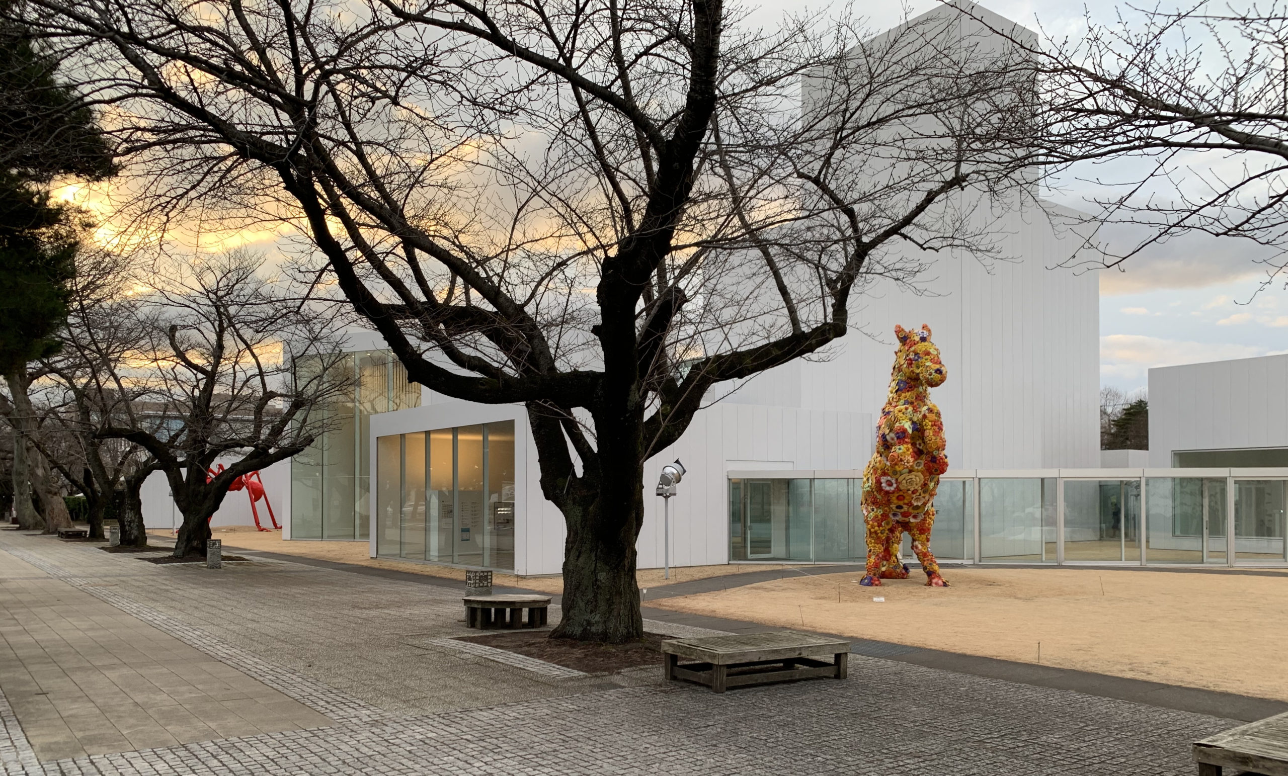 「十和田市現代美術館」をご紹介します。建築自体が現代アート！ 西沢立衛建築設計事務所